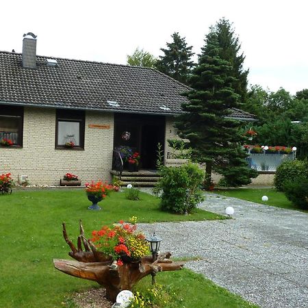4 Sterne Ferienwohnung 140 Qm Im Haus Tina Sankt Andreasberg Exteriör bild