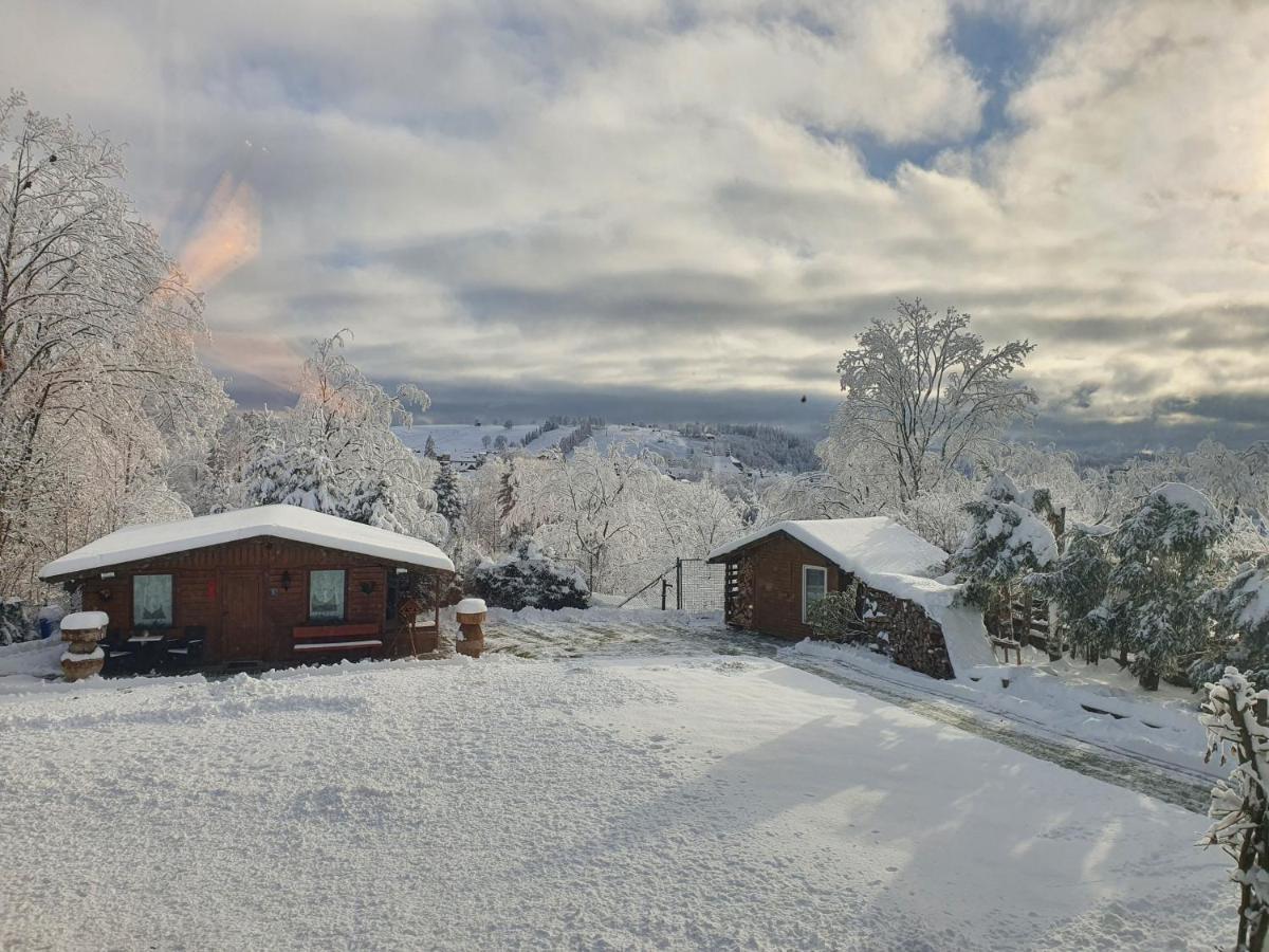 4 Sterne Ferienwohnung 140 Qm Im Haus Tina Sankt Andreasberg Exteriör bild